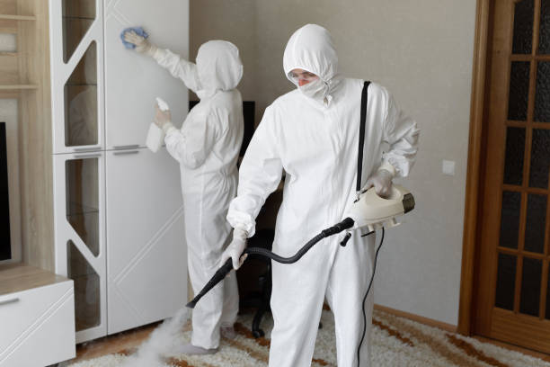 Crawl Space Mold Removal in Vincent, CA