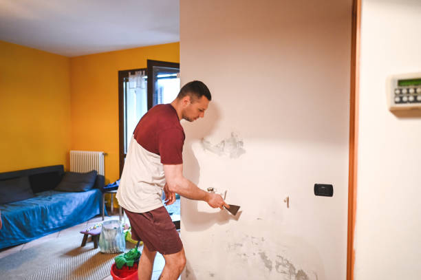 Best Attic Mold Removal  in Vincent, CA
